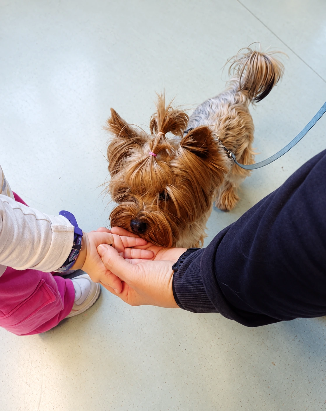 Idefix annusa la mano di un bambino e di un adulto