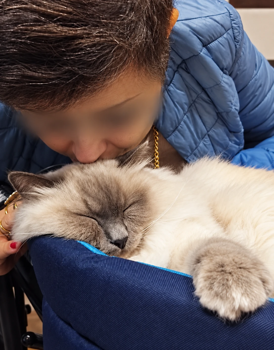 Merlino dorme tranquillo mentre una persona lo bacia sulla testa