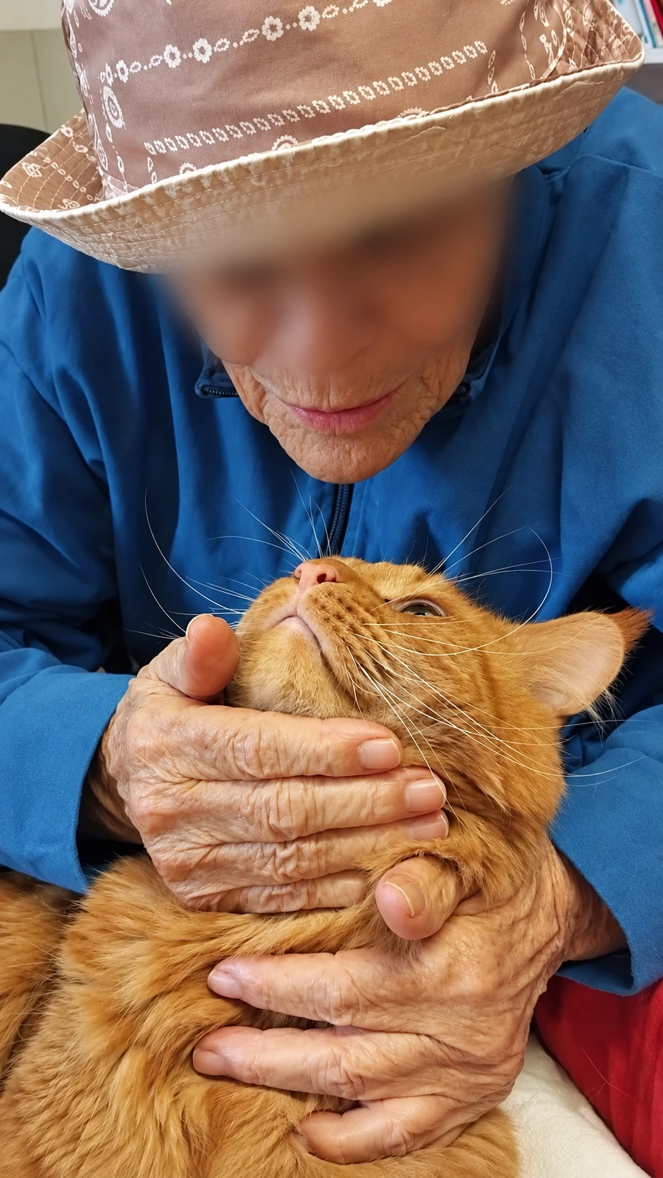 Romeo accarezzato sotto il mento da una persona anziana